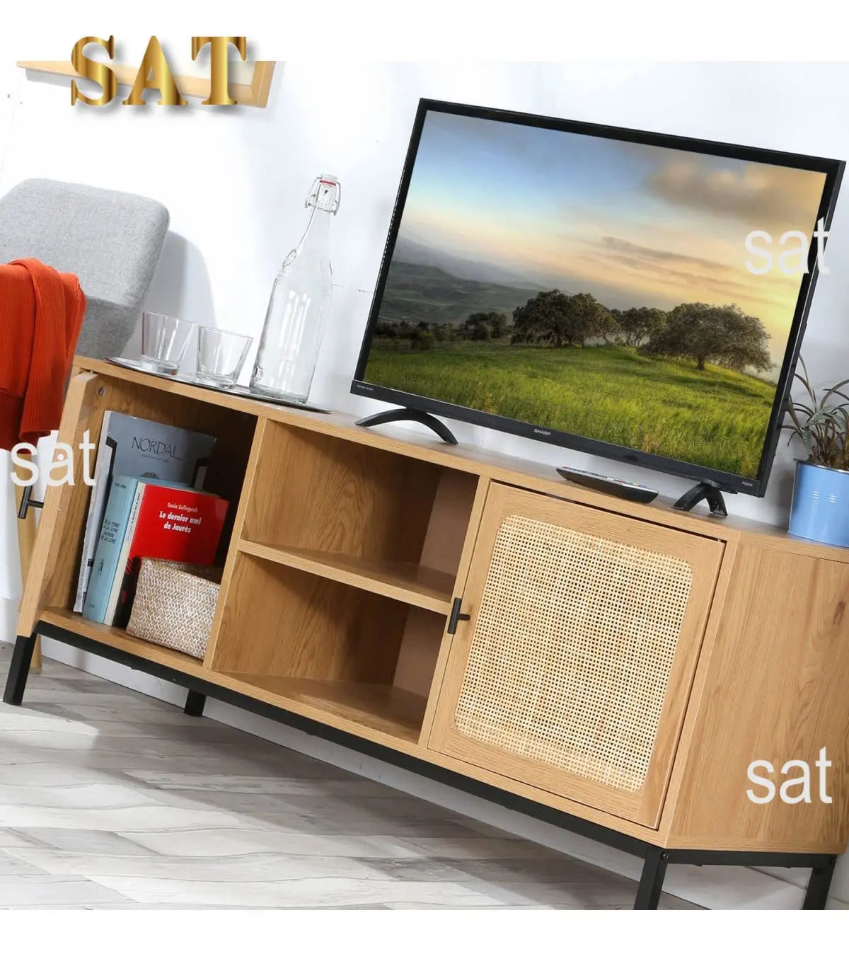 Meuble TV moderne en rotin cannage – Design à 2 portes avec niches, style naturel et contemporain