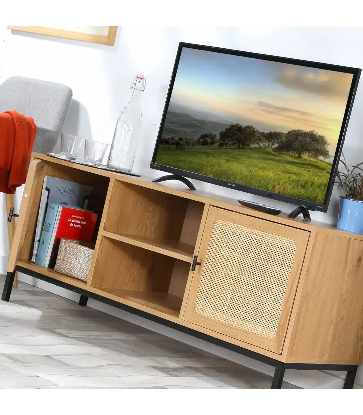 Meuble TV moderne en rotin cannage – Design à 2 portes avec niches, style naturel et contemporain